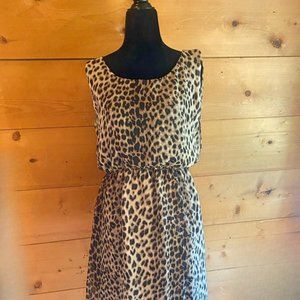 Candy Couture Leopard High Low dress - S